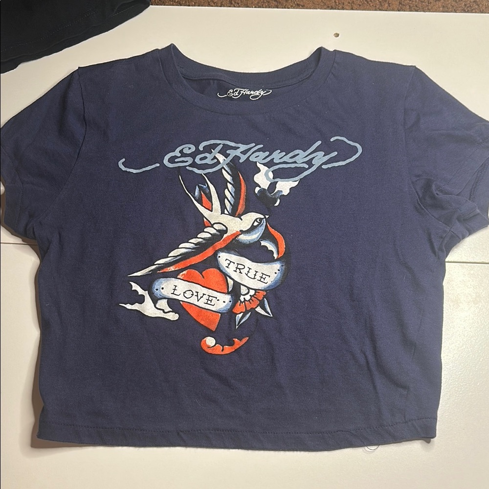 Ed Hardy Blue Graphic Short Sleeve Tee
